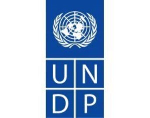 ﻿SALE OF USED UNITED NATIONS DEVELOPMENT PROGRAMME (UNDP) VEHICLE N