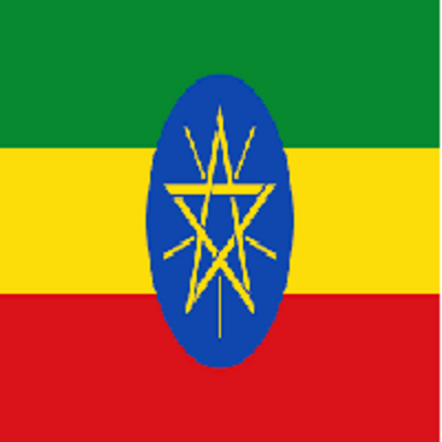 Embassy of the Federal Democratic Republic of Ethiopia in Rwanda | Published on 04-06-2026 | Deadline 04-07-2026