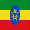 Embassy of the Federal Democratic Republic of Ethiopia in Rwanda | Published on 04-06-2026 | Deadline 04-07-2026