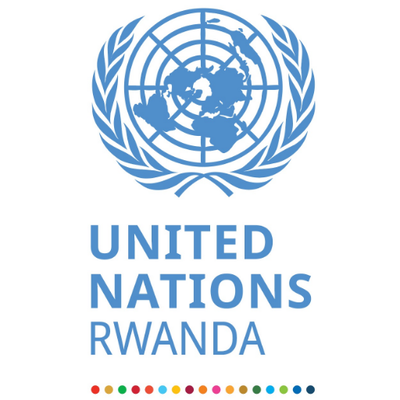 UNITED NATIONS DEVELOPMENT PROGRAMME | Published on 27-06-2026 | Deadline 08-07-2026
